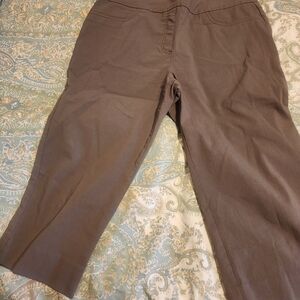 Ruby Rd Brown Tummy Control Strechy Cropped Pants Size 12